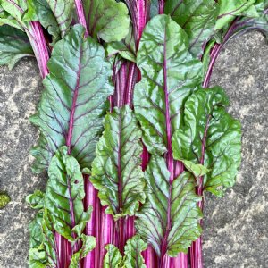 Pink Lipstick Chard Seed