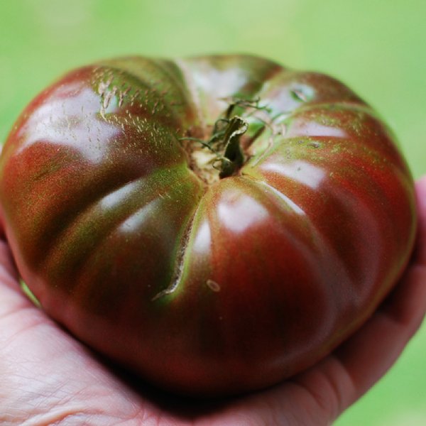 Pruden's Purple Tomato Seeds