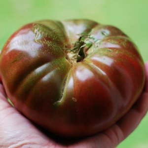 Pruden's Purple Tomato Seeds