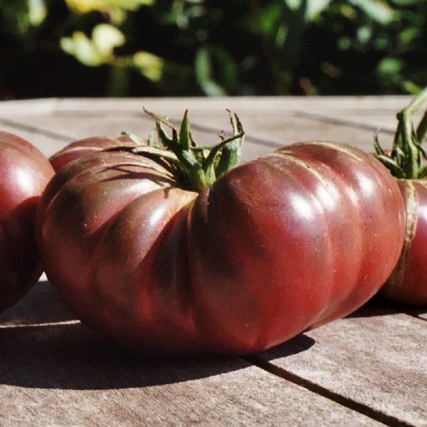 Purple Calabash Tomato Seeds