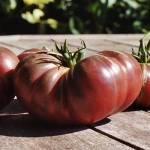 Purple Calabash Tomato Seeds