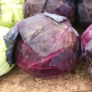 Red Acre Cabbage Seed