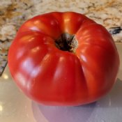 Red Hybrid Tomato Seeds