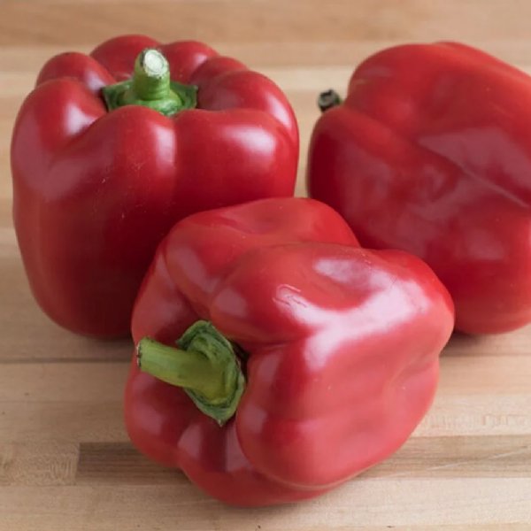 Red Knight X3R Pepper Seed