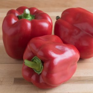 Red Knight X3R Pepper Seed