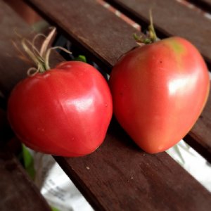 Red Strawberry Tomato Seeds