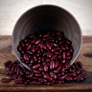 Red Rover Bean Seed