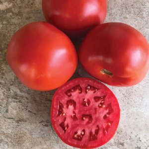 Roadster Tomato Seeds