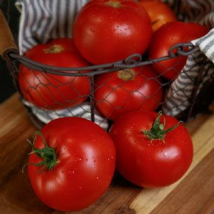 RuBee Prize Tomato Seeds