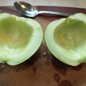 Sakata's Sweet Cantaloupe Seeds