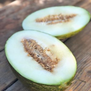 Sharlyn Cantaloupe Seeds