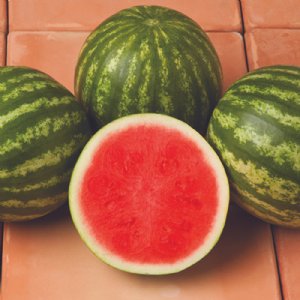 Sirius Watermelon Seed