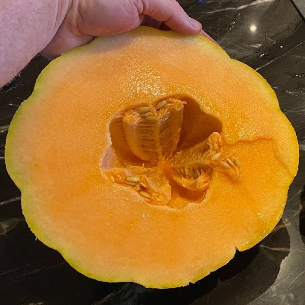 Solstice Cantaloupe Seeds