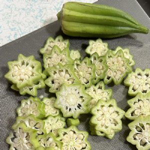 Star of David Okra Seed