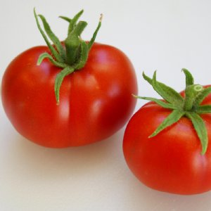 Stupice Tomato Seeds