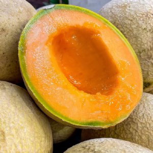 Sugar Cube Cantaloupe Seeds