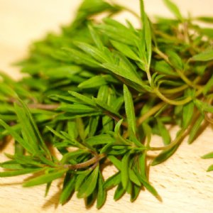 Summer Savory Seed