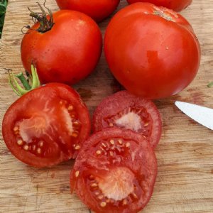 Super Sioux Tomato Seeds