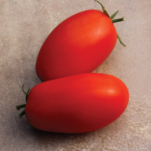 Supremo Tomato Seeds