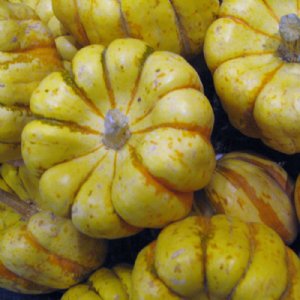 Sweet Dumpling Squash Seed