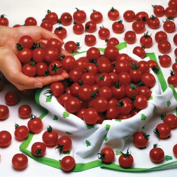 Sweet Million Tomato Seeds