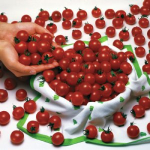 Sweet Million Tomato Seeds