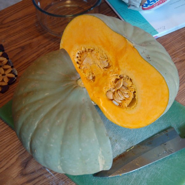 Sweetkeeper Squash Seed