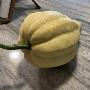 Thelma Saunders Squash Seed