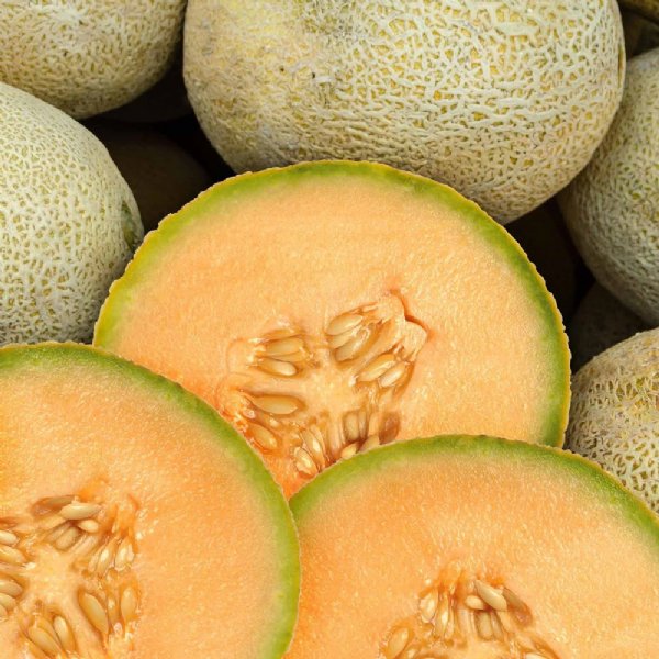 Top Mark Cantaloupe Seeds