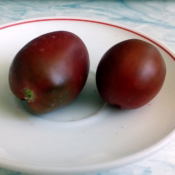 Ukranian Purple Tomato Seeds