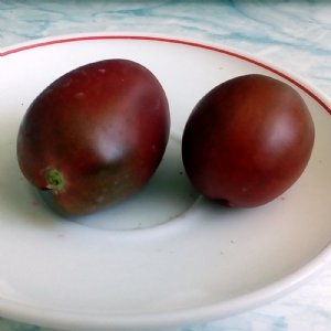 Ukranian Purple Tomato Seeds