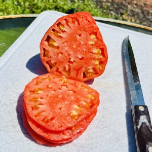 Watermelon Beefsteak Tomato Seeds