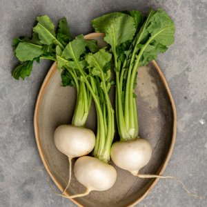 White Egg Turnip Seed