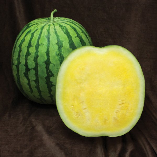 Yellow Buttercup Watermelon Seed