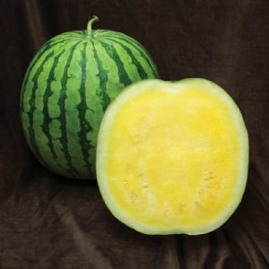 Yellow Buttercup Watermelon Seed