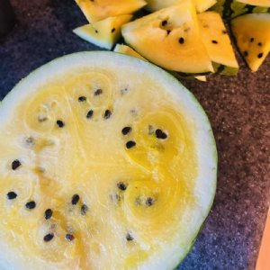 Yellow Doll Watermelon Seed