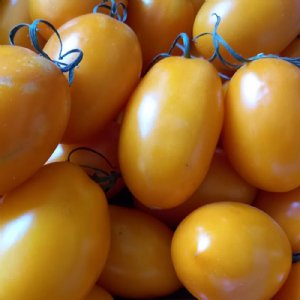 Yellow Plum Tomato Seeds