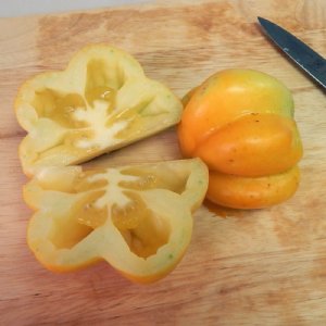 Yellow Stuffer Tomato Seeds