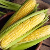 Yellow Sweet Corn Seeds