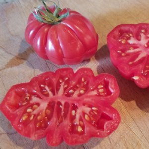 Zapotec Oaxaca Ribbed Tomato Seeds